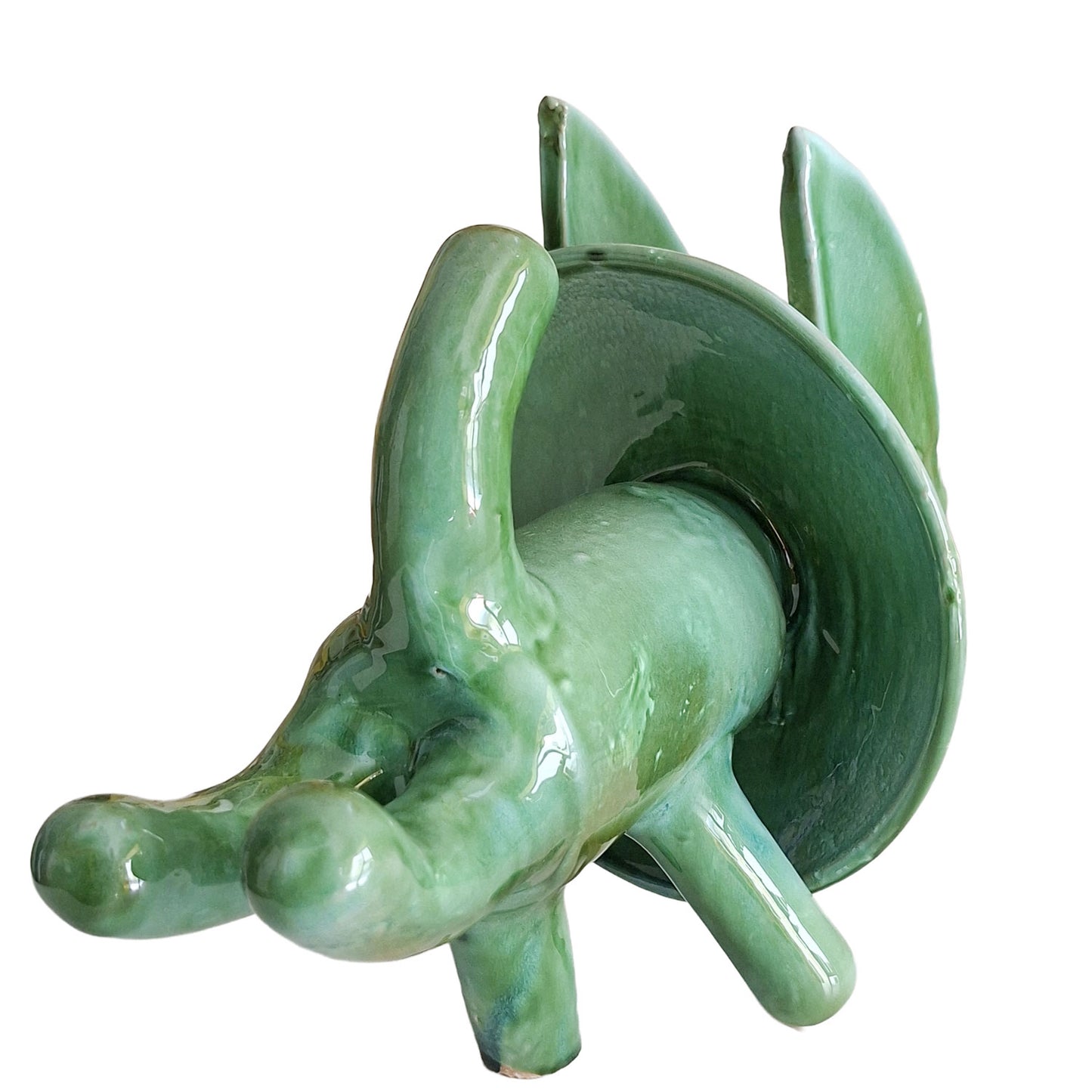 ASINOLEONE